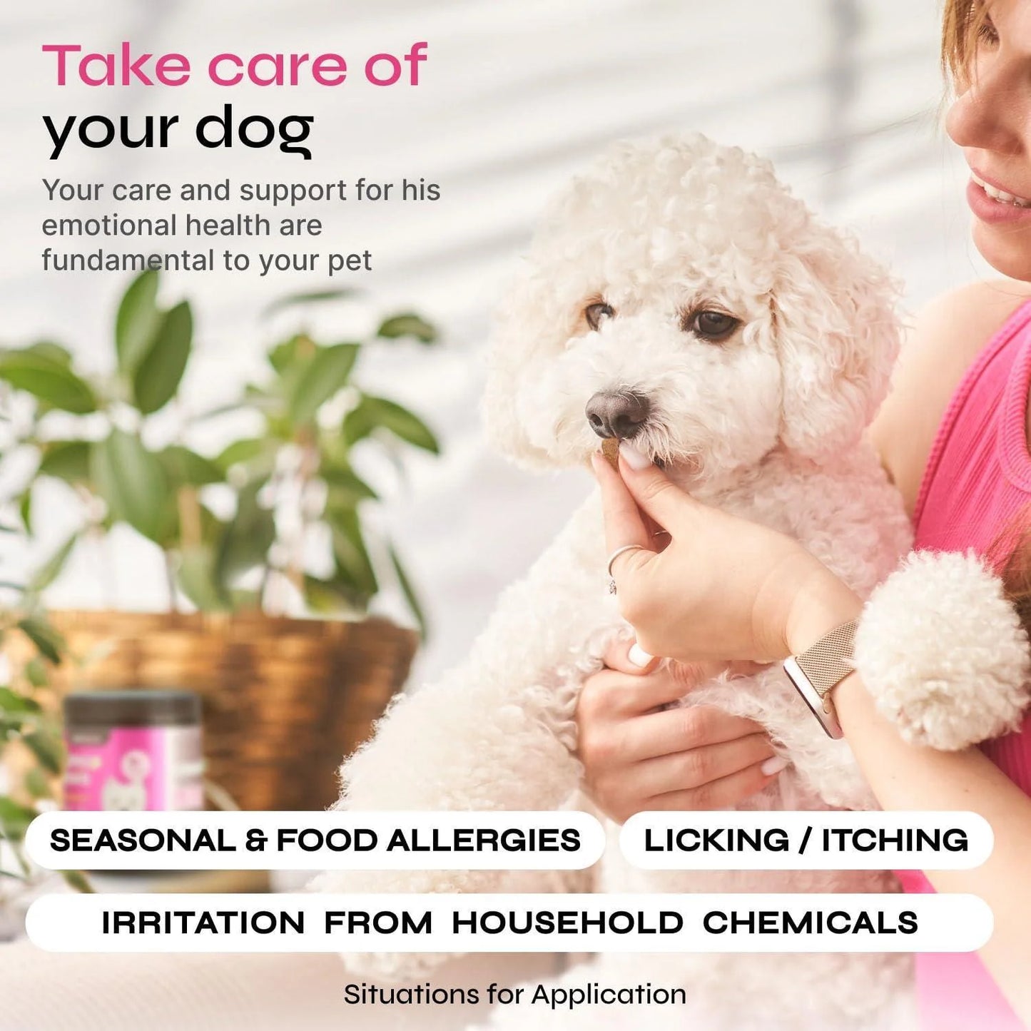 Dog Allergy Relief Chews Dog Itching Skin Relief anti Itch Skin Health