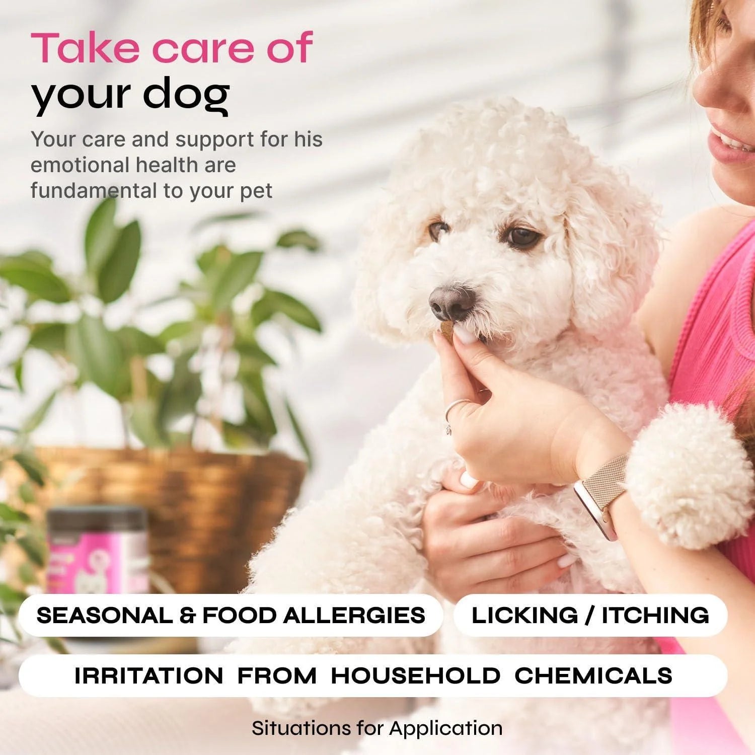 Dog Allergy Relief Chews Dog Itching Skin Relief anti Itch Skin Health